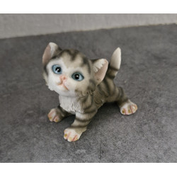 Chaton miniature